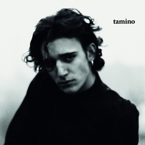 Tamino – Indigo Night